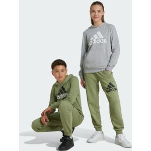 Essentials Regular Fit Big Logo Cotton Pants