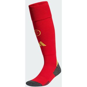 Spain 24 Home Socks