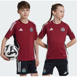 Newcastle United FC Tiro 24 Training Jersey Kids