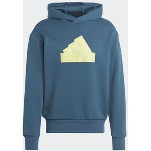 Future Icons Badge of Sport Hoodie