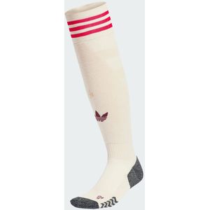 FC Bayern 24/25 Third Socks