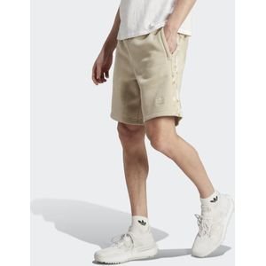 Graphics Camo Stripe Shorts