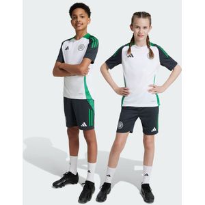 Celtic FC Tiro 24 Training Shorts Kids