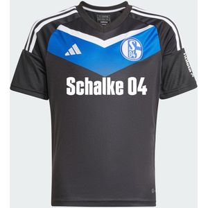 FC Schalke 04 23/24 Third Jersey