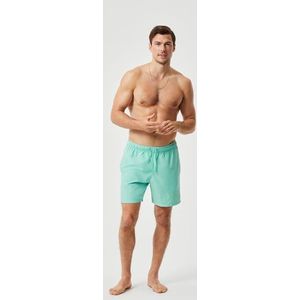 Borg Swim Shorts