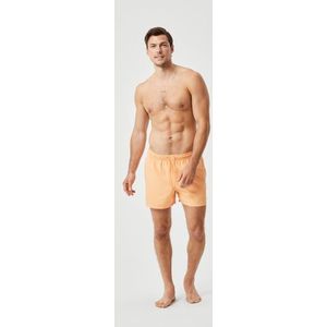 Borg Solid Swim Shorts