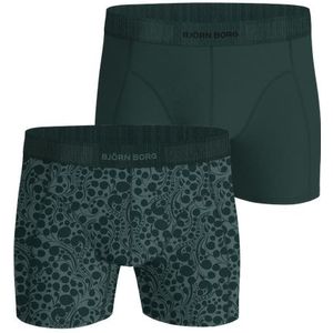 Organic Cotton Stretch Boxers 2-pack