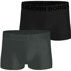 Sports Mesh Trunks 2-pack