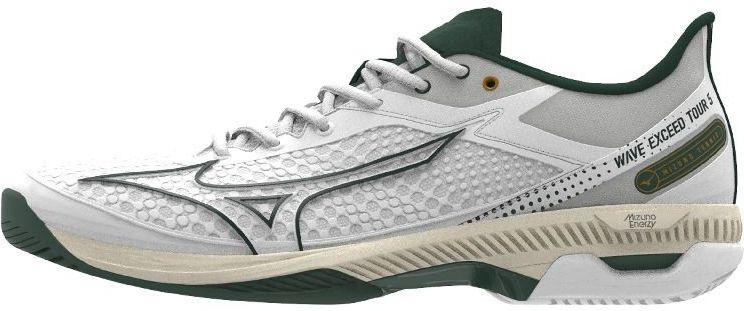 Tennisschuhe Mizuno Wave Exceed Tour 5 AC