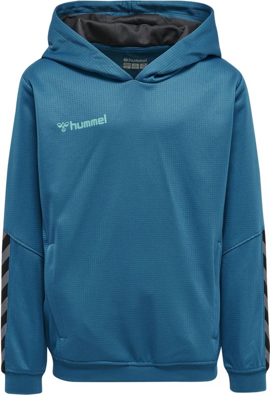 Hoodie Kinder Hummel hmlAUTHENTIC Poly