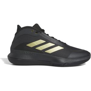 Hallenschuhe adidas Bounce Legends