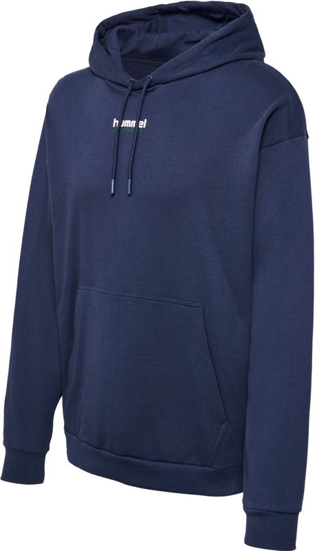 Hoodie Hummel LGC Nate