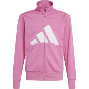Trainingsanzug, Mädchen adidas Essentials Climacool