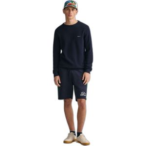 Pullover Gant