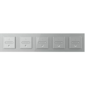 Livolo | Grijs | SR+SR+SR+SR+SR | Slide-Dimmer | Smart Home - Bekijk