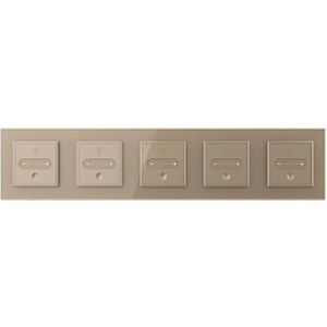 Livolo | Goud | SR+SR+SR+SR+SR | Slide-Dimmer | Smart Home - Bekijk