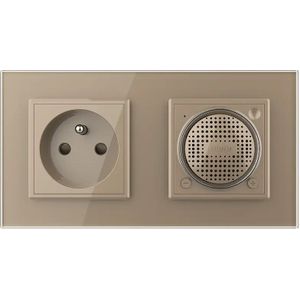 Bluetooth Speaker | Wandcontactdoos France | Goud | Livolo.nl