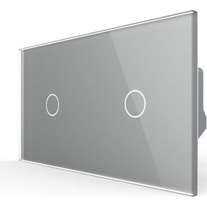 Livolo | Grijs | 1+1 | Dimmer | EC | Smart Home