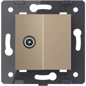 Livolo | Goud | SR | TV - Male | Blindplaat  | Design