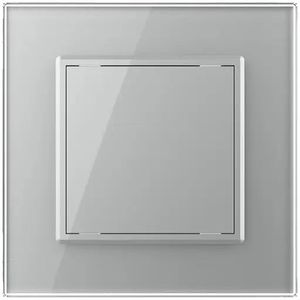 Livolo | Grijs | SR | Blindplaat - Bekijk hier!