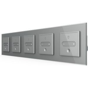 Livolo | Grijs | SR+SR+SR+SR+SR | Slide-Dimmer | Zigbee | Smart Home