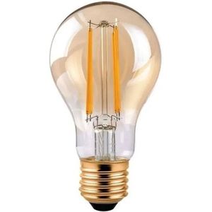 E27 | Warm-Wit | LED | Filament Peer | Amber - Bekijk hier!