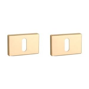 Aprile Premium Rechthoekig Sleutelrozet 50x33x7mm gepolijst goud Rozetten