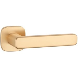 Aprile Massieve Deurkruk Ixia Mat Goud Op Afgerond Rozet