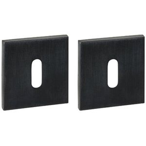 Intersteel Q Sleutelrozetten verdekt 53x53x6mm pvd zwart