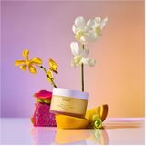 OUAI - St Barts - Body Crème - Travel Size 96.4g