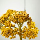 Origins - Plantscription Wrinkle Correction Eye Cream - 15 ml