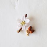 Aveda - Cherry Almond Softening Shampoo - Zjemňující šampon bez silikonu