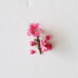 Aveda - Cherry Almond Softening Shampoo - Zjemňující šampon bez silikonu