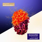 Shiseido Vital Perfection Supreme Cream Refill