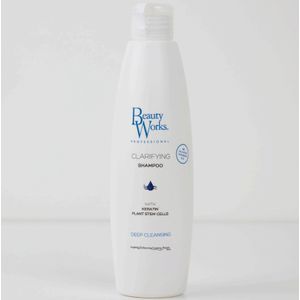 Beauty Works Clarifying Shampoo 250ml