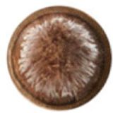 MAC 209 Eyelinerborsteltje