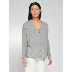 Vest lange mouwen Van include grijs