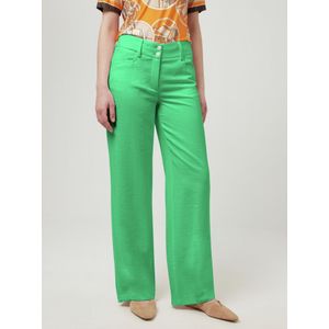 Broek Van Peter Hahn groen