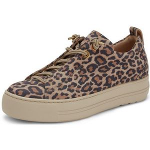 Sneakers kalfsnappaleer Van Paul Green beige