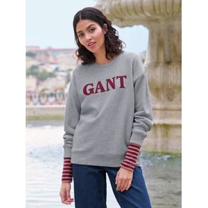Sweatshirt Van GANT grijs