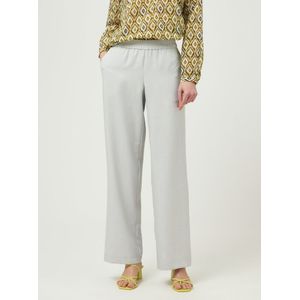 Broek Van Peter Hahn grijs