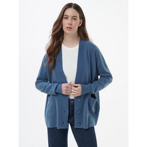 Vest Van include blauw