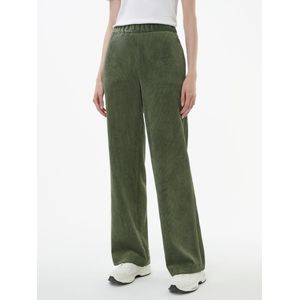 Broek Van Peter Hahn groen