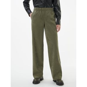 Broek Van Peter Hahn groen