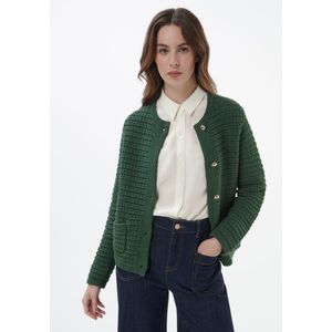 Vest Van Peter Hahn groen