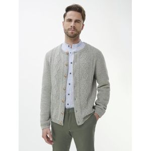 Vest Van Peter Hahn grijs