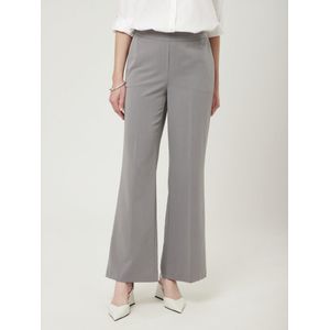 Broek Van Peter Hahn grijs