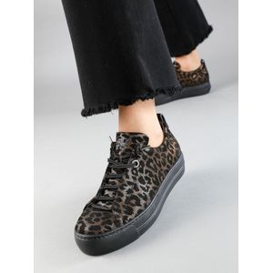 Sneakers kalfsnappaleer Van Paul Green zwart