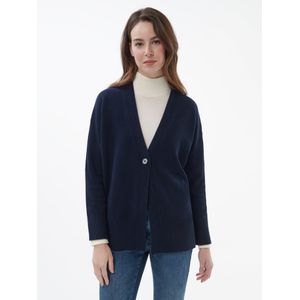 Vest Van Peter Hahn blauw