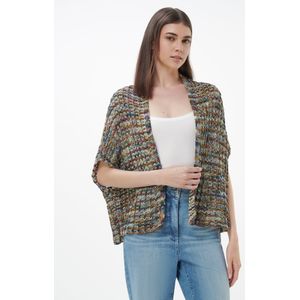 Gebreid vest Van Inkadoro multicolour